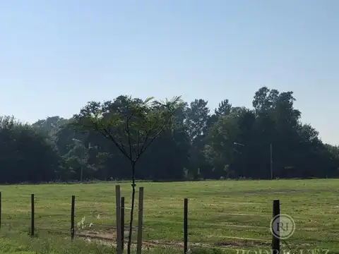 Terreno en Venta de 300,0 m2
