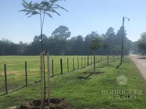 Alberdi y Rosa de Giles - San Antonio de Areco