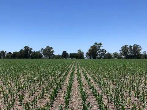 Campo en Venta en La Paz, Entre Ríos
