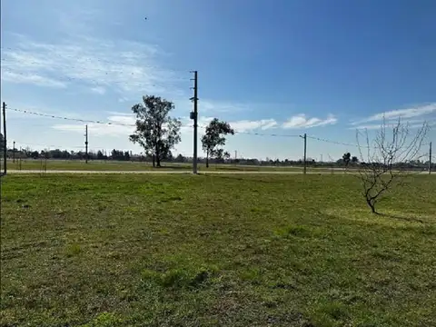 Terreno en venta - 658Mts2 - Finca Joven