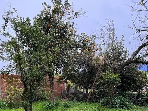 Terreno en Venta de 743,0 m2