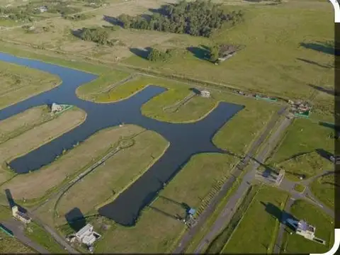 Lote. Tiempos de Canning. Lacus