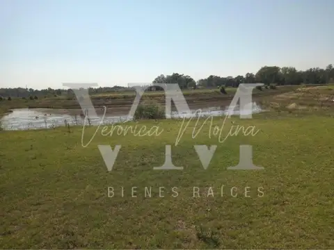 Lote. Tiempos de Canning. Lacus