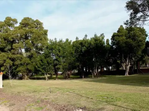 Altos del Plata - 149 e/ 34 y 36