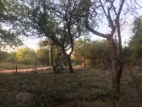 Terreno en Venta 60  mts Fondo