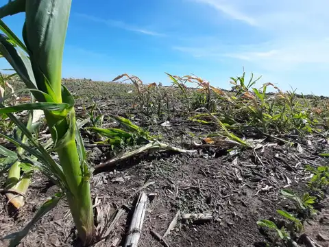 Oficina en Venta 2025 años