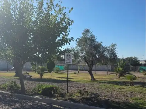 Buenos Vecinos al 900