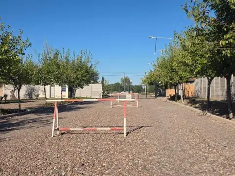 Buenos Vecinos al 900