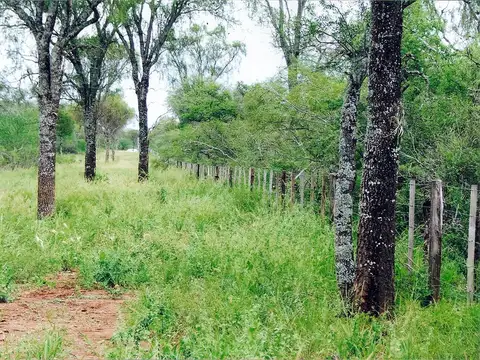 Campo en Choya, Santiago del Estero - Posibilidad solo de arrendar para su explotación