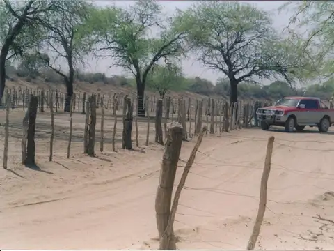 Campo de 9400has en el sur Santiago del Estero
