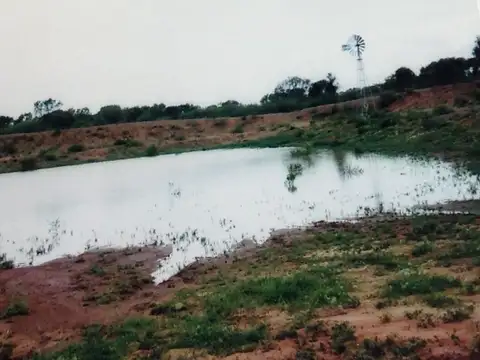 Campo en Choya, Santiago del Estero - Posibilidad solo de arrendar para su explotación