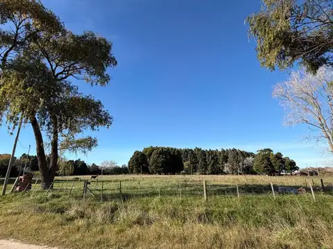 Terreno en Venta en General Juan Madariaga, USD 25.000