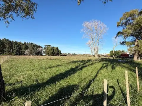 Terreno/Lote  en venta General Madariaga