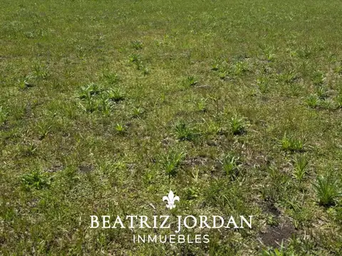 Terreno en Venta de 600,0 m2