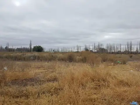 Quinta en Venta en Los Claveles, USD 69.500