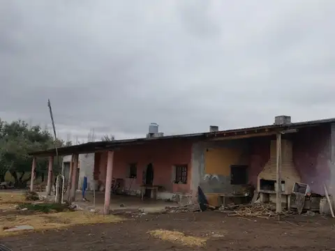 Finca venta en los claveles, san rafael, mendoza