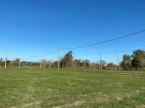 Tres Arroyos
