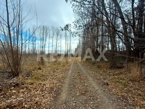VENTA CHACRA 5,42 HA - SENILLOSA