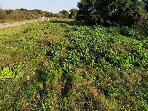 Terreno en Venta 12  mts Fondo
