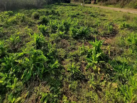 Terreno en Venta de 841,0 m2