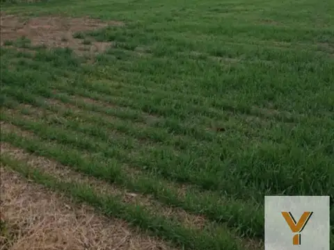 Campo en Venta -  - 9600000mts - Cordoba Capital