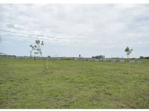 Terreno en Venta 12,50  mts Frente