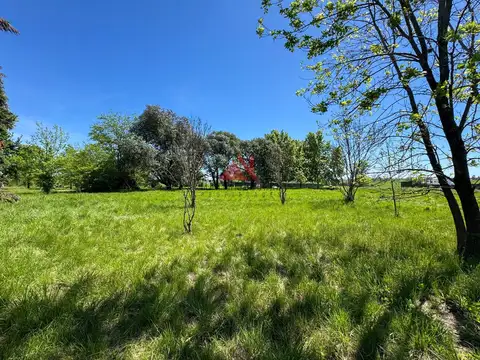 Terreno en Venta en Pilara, USD 94.000