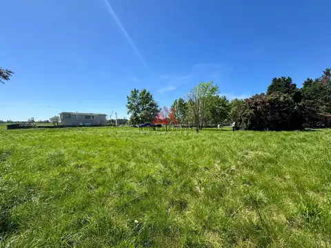 Terreno en Venta de 800,0 m2