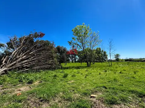Terreno Lote  en Venta en El Tilbury, Pilara, Pilar