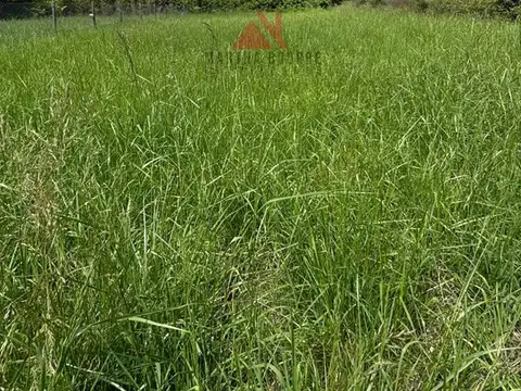 PARQUE EXALTACION - RUTA 8 KM 74 100