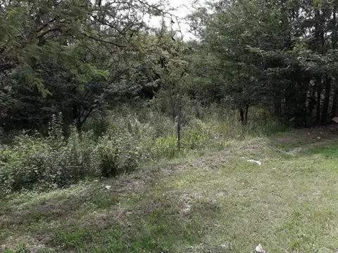 Santa Cruz 500