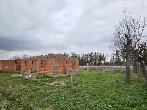 Viedma y el Teatro