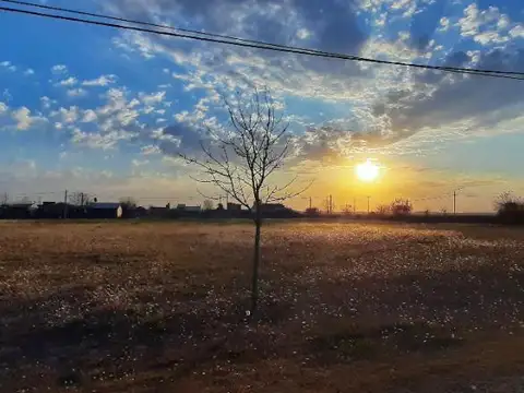 Lote 502 Punta Chacra Zavalla