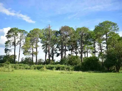 Ruta Nacional Nro. 193