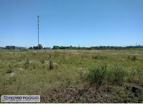 Aborigenes Argentinos 6500