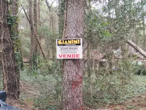 Terreno - Venta - Argentina, Mar de las Pampas