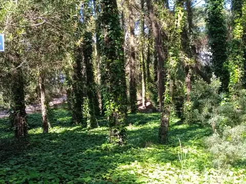 Terreno en Venta en Alfalad, USD 69.000