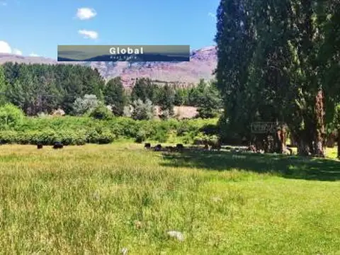 FABULOSA FRACCIÓN 2 Has FRENTE RUTA 40, SAN MARTÍN DE LOS ANDES PATAGONIA ARGENTINA 100