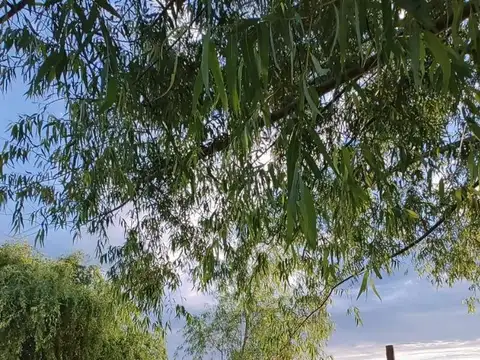 Casa en Venta 15 años