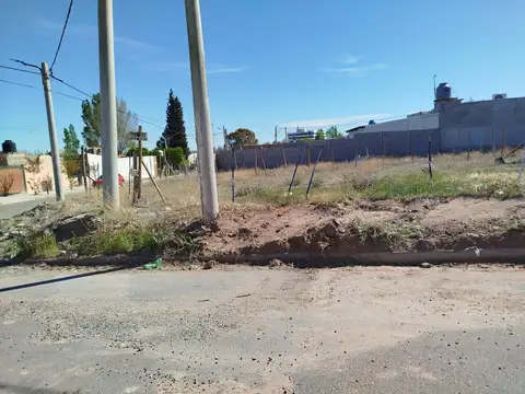 Terreno Neuquen zona nueva municipalidad