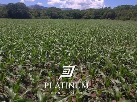 Lote A 8 Finca ojo de 100