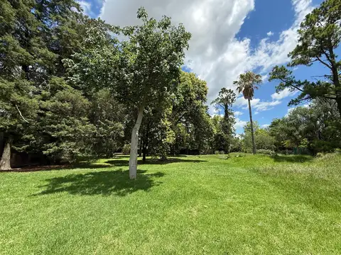 Los Cedros  al 1300