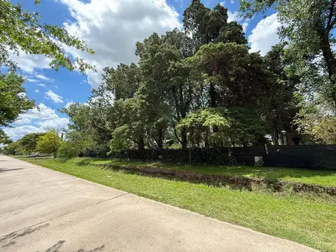 Los Cedros  al 1300