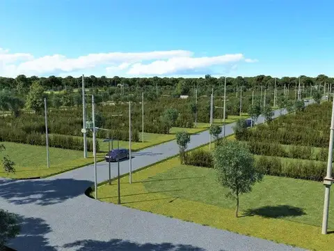 Terreno en Venta 25  mts Fondo