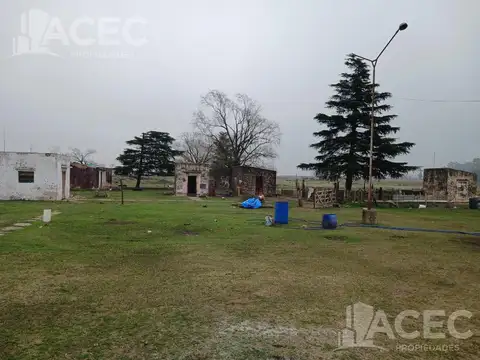 Alquiler -Campo - Localidad de Alvarez