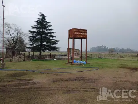 Alvarez  - Campo 5 ha