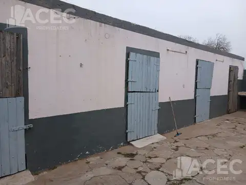 Alquiler -Campo - Localidad de Alvarez
