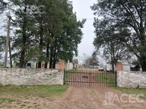 Alquiler -Campo - Localidad de Alvarez