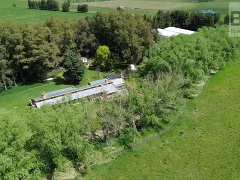Campo en venta de 38 hectáreas con importante infraestructura productiva en Navarro sobre RP 41