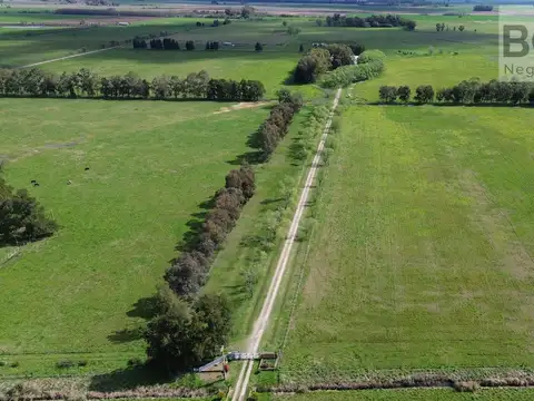 Campo en venta de 38 hectáreas con importante infraestructura productiva en Navarro sobre RP 41
